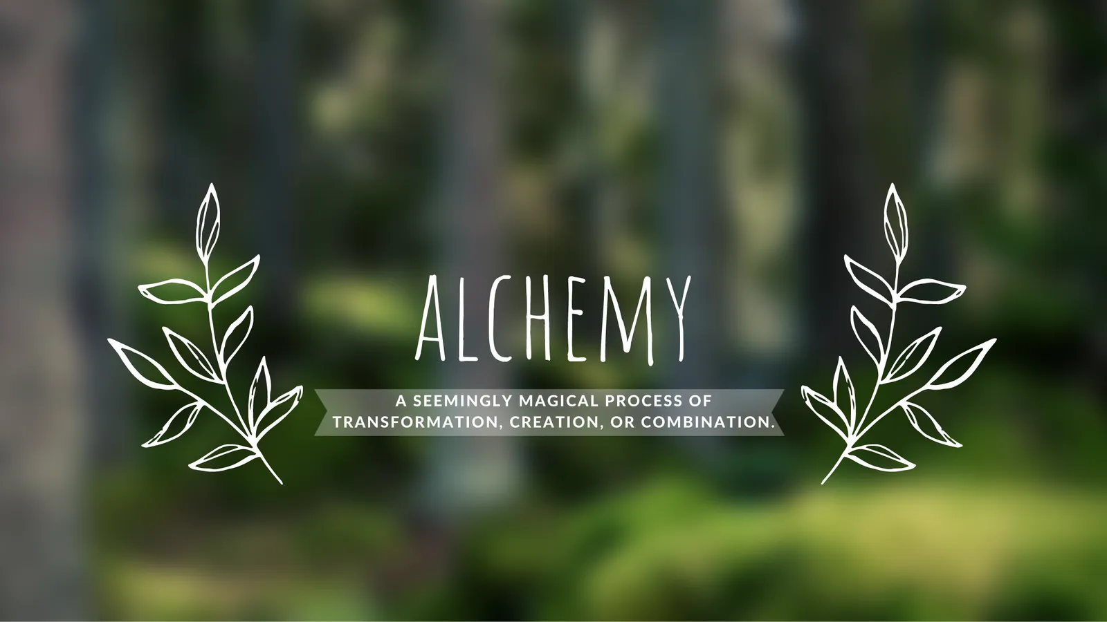 Inside Modern Alchemy / Public Vinyl on Canyon Street in Creston BC